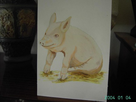 varkentje aquarel op a4 aqua papier